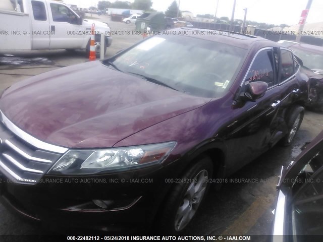 5J6TF2H56CL010343 - 2012 HONDA CROSSTOUR EXL წითელი ფოტო 2