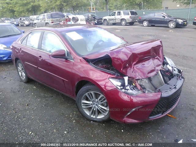 4T1BF1FKXFU887352 - 2015 TOYOTA CAMRY LE/XLE/SE/XSE RED photo 1