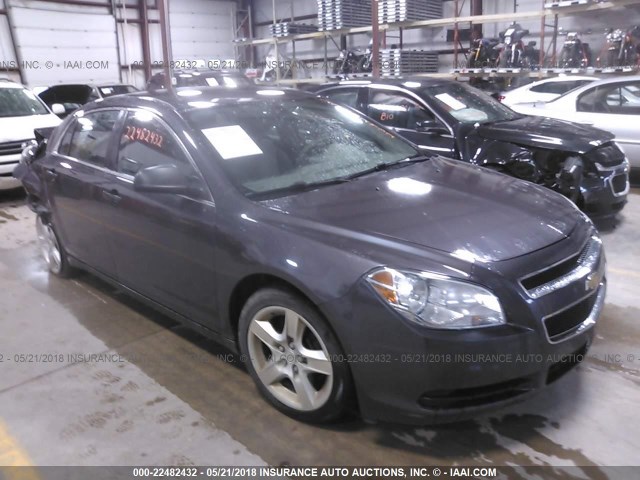 1G1ZB5EB2AF239629 - 2010 CHEVROLET MALIBU LS GRAY photo 1