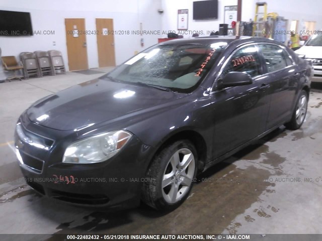 1G1ZB5EB2AF239629 - 2010 CHEVROLET MALIBU LS GRAY photo 2