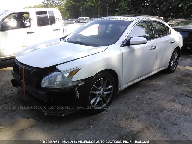 1N4AA51E79C832476 - 2009 NISSAN MAXIMA S/SV WHITE photo 2