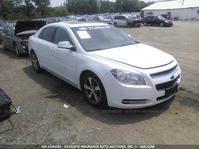 1G1ZC5EU9BF116507 - 2011 CHEVROLET MALIBU 1LT 白色 照片 1