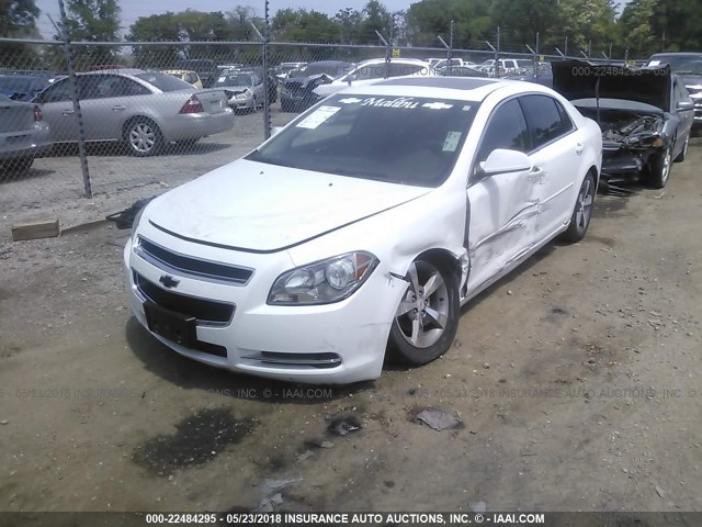 1G1ZC5EU9BF116507 - 2011 CHEVROLET MALIBU 1LT 白色 照片 2