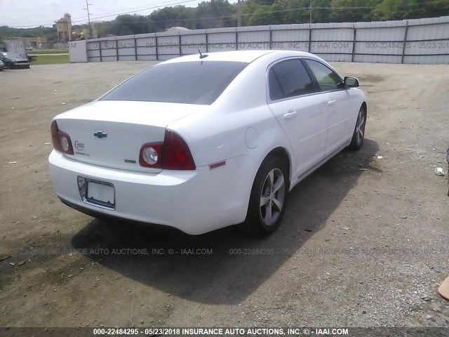 1G1ZC5EU9BF116507 - 2011 CHEVROLET MALIBU 1LT 白色 照片 4