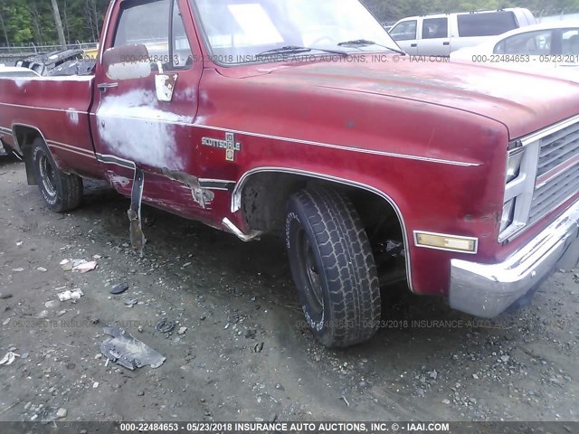 1GCDC14H5EF338268 - 1984 CHEVROLET C10 RED photo 6