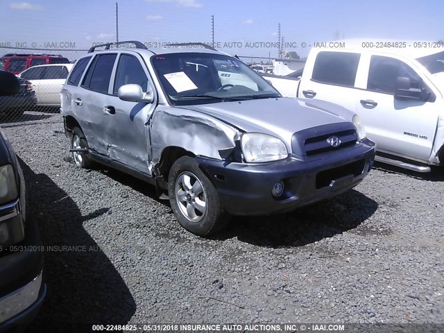 KM8SC13EX5U019177 - 2005 HYUNDAI SANTA FE GLS/LX SILVER photo 1