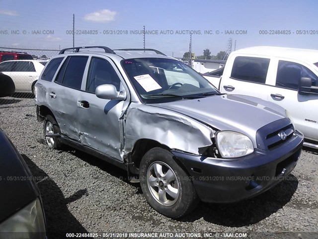 KM8SC13EX5U019177 - 2005 HYUNDAI SANTA FE GLS/LX SILVER photo 6