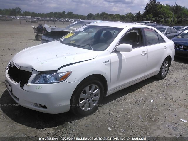 JTNBB46K773008264 - 2007 TOYOTA CAMRY NEW GENERAT HYBRID WHITE photo 2