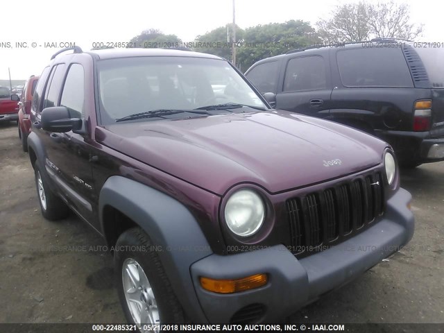 1J4GL48K22W251115 - 2002 JEEP LIBERTY SPORT MAROON photo 6