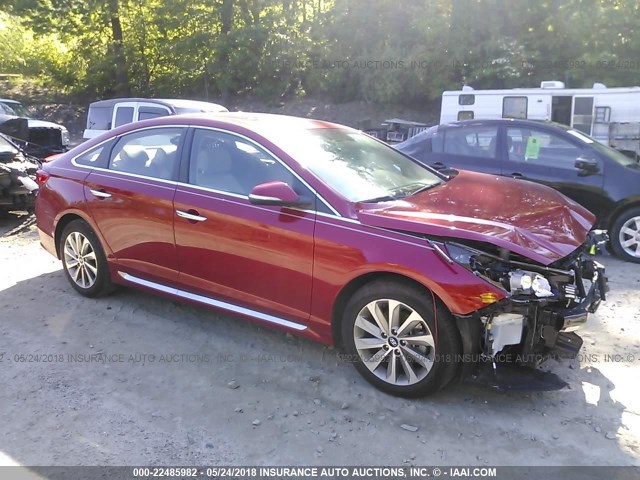 5NPE34AFXHH564681 - 2017 HYUNDAI SONATA SPORT/LIMITED RED photo 1