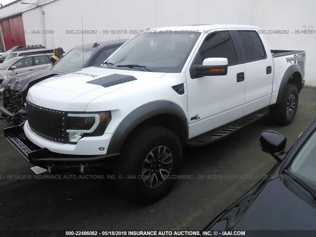 1FTFW1R65DFD47736 - 2013 FORD F150 SVT RAPTOR WHITE photo 2