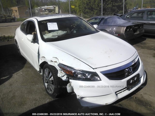 1HGCS1B88BA016283 - 2011 HONDA ACCORD EXL WHITE photo 1