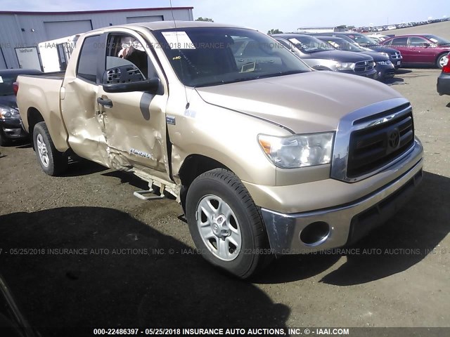 5TFRM5F14AX004098 - 2010 TOYOTA TUNDRA DOUBLE CAB SR5 GOLD photo 1