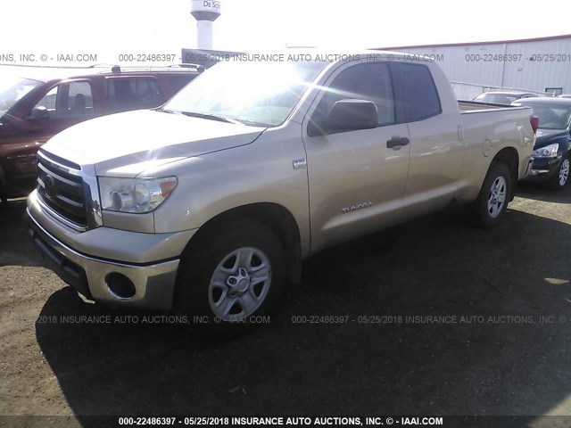 5TFRM5F14AX004098 - 2010 TOYOTA TUNDRA DOUBLE CAB SR5 GOLD photo 2