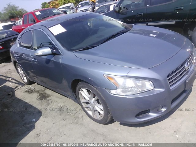 1N4AA5APXAC823048 - 2010 NISSAN MAXIMA S/SV BLUE photo 1