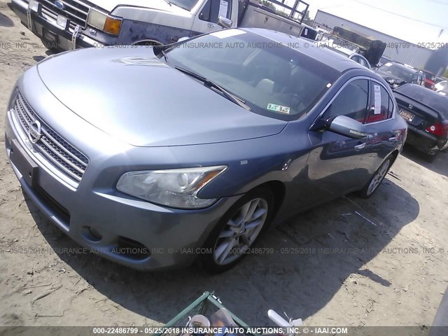 1N4AA5APXAC823048 - 2010 NISSAN MAXIMA S/SV BLUE photo 2