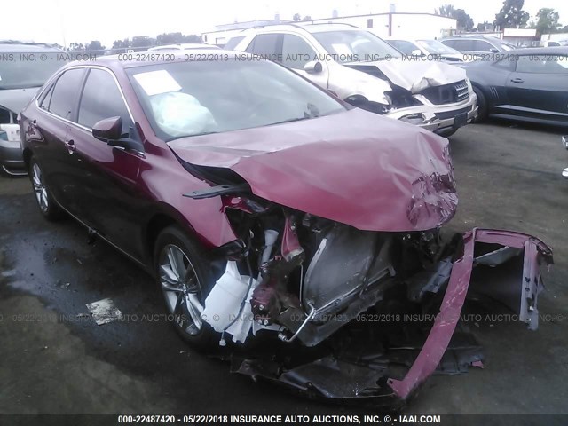 4T1BF1FK3GU572300 - 2016 TOYOTA CAMRY LE/XLE/SE/XSE RED photo 1