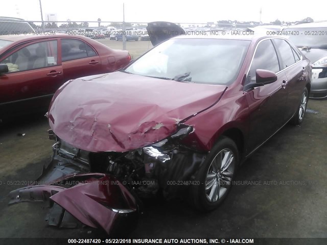 4T1BF1FK3GU572300 - 2016 TOYOTA CAMRY LE/XLE/SE/XSE RED photo 2