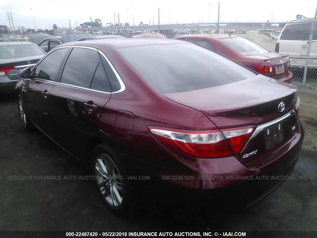 4T1BF1FK3GU572300 - 2016 TOYOTA CAMRY LE/XLE/SE/XSE RED photo 3