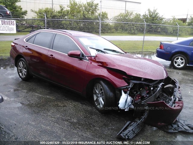 4T1BF1FK1HU791368 - 2017 TOYOTA CAMRY LE/XLE/SE/XSE RED photo 1