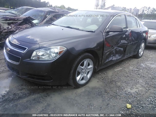 1G1ZB5E18BF114000 - 2011 CHEVROLET MALIBU LS Boz foto 2