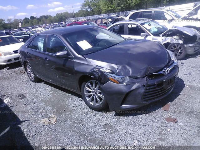 4T1BF1FKXFU940261 - 2015 TOYOTA CAMRY LE/XLE/SE/XSE GRAY photo 1