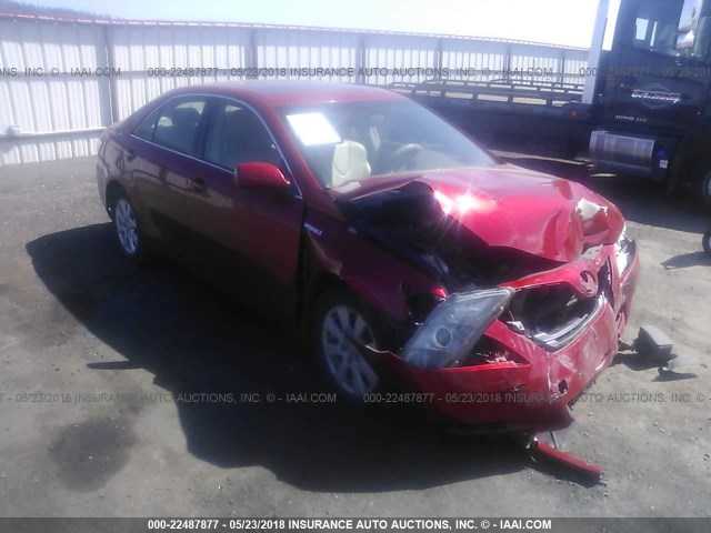 JTNBB46K083045531 - 2008 TOYOTA CAMRY HYBRID RED photo 1