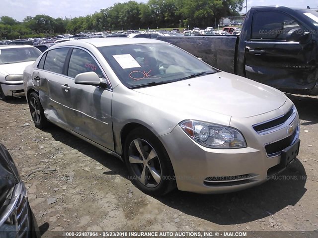1G1ZC5E10BF283442 - 2011 CHEVROLET MALIBU 1LT GOLD photo 1