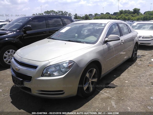 1G1ZC5E10BF283442 - 2011 CHEVROLET MALIBU 1LT GOLD photo 2