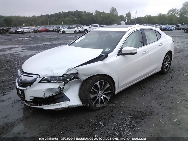 19UUB1F3XGA015890 - 2016 ACURA TLX WHITE photo 2