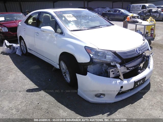 JTHBB1BA7A2033483 - 2010 LEXUS HS 250H WHITE photo 1