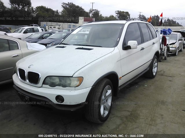 5UXFA53553LV79399 - 2003 BMW X5 3.0I WHITE photo 2