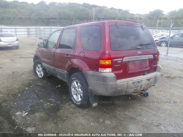 1FMYU93197KA50177 - 2007 FORD ESCAPE XLT RED photo 3