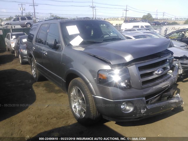 1FMJU2A50AEB54416 - 2010 FORD EXPEDITION LIMITED GRAY photo 1