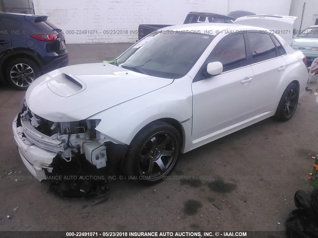 JF1GV7E65BG505683 - 2011 SUBARU IMPREZA WRX WHITE photo 2