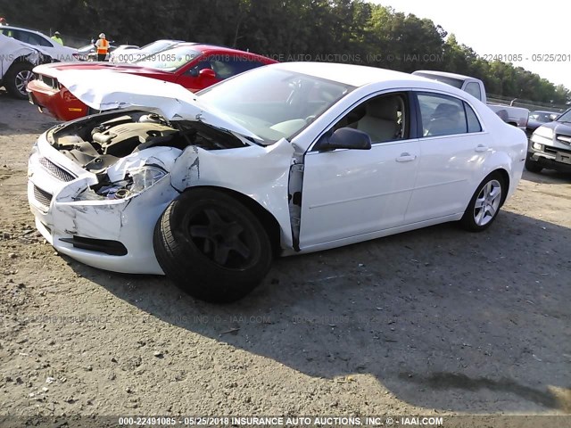 1G1ZA5EU1CF260687 - 2012 CHEVROLET MALIBU LS 白色 照片 2