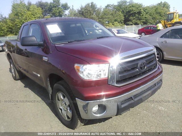 5TFUY5F1XAX099829 - 2010 TOYOTA TUNDRA DOUBLE CAB SR5 RED photo 1