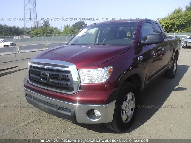 5TFUY5F1XAX099829 - 2010 TOYOTA TUNDRA DOUBLE CAB SR5 RED photo 2