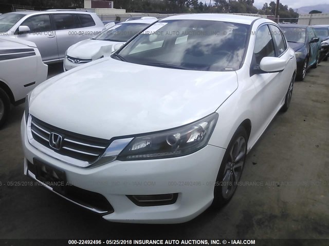 1HGCR2F58DA022136 - 2013 HONDA ACCORD SPORT WHITE photo 2