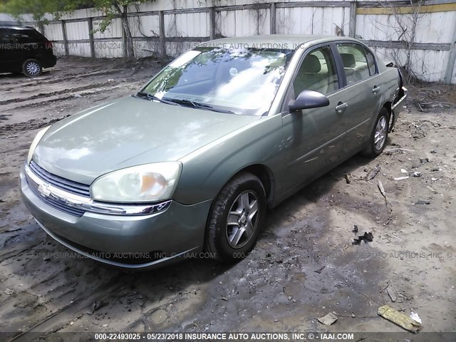 1G1ZT54825F144156 - 2005 CHEVROLET MALIBU LS მწვანე ფოტო 2