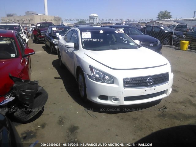 1N4AA5AP8BC849794 - 2011 NISSAN MAXIMA S/SV WHITE photo 1