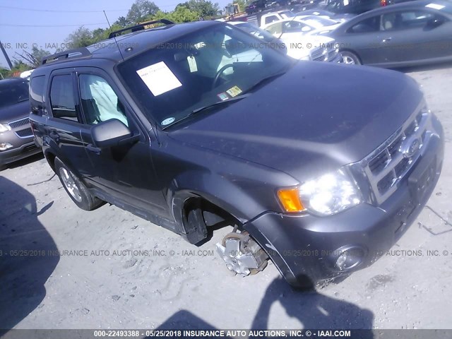 1FMCU0D78CKC59056 - 2012 FORD ESCAPE XLT GRAY photo 1