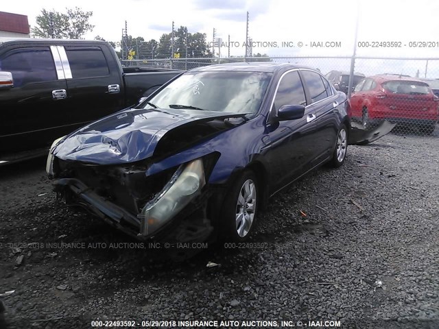 1HGCP36838A016174 - 2008 HONDA ACCORD EXL BLUE photo 2