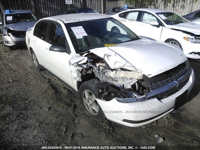 1G1ZT54835F212125 - 2005 CHEVROLET MALIBU LS 白色 照片 1