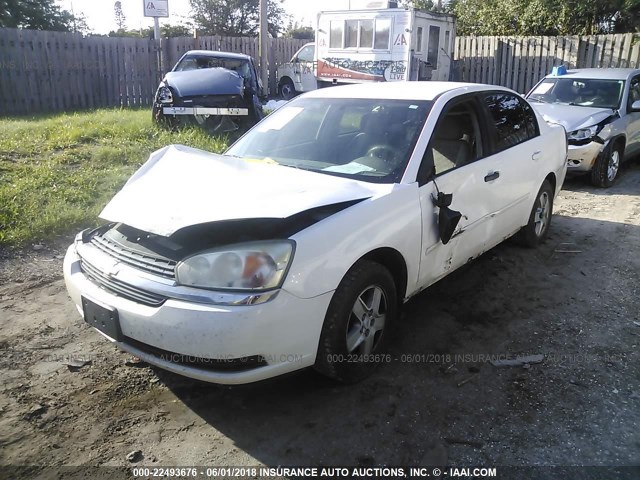 1G1ZT54835F212125 - 2005 CHEVROLET MALIBU LS 白色 照片 2