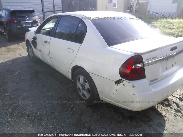 1G1ZT54835F212125 - 2005 CHEVROLET MALIBU LS 白色 照片 3