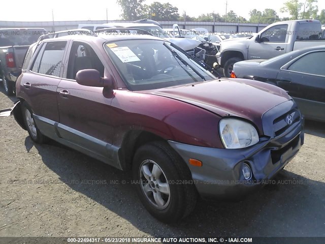 KM8SC13D35U894186 - 2005 HYUNDAI SANTA FE GLS/LX RED photo 1