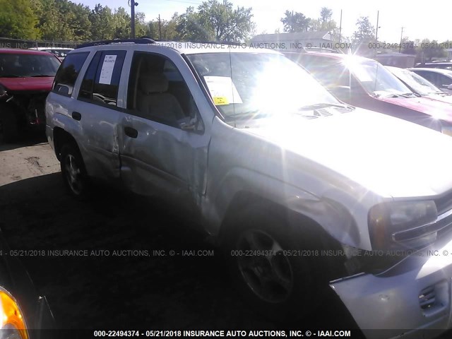 1GNDT13S682159480 - 2008 CHEVROLET TRAILBLAZER LS/LT SILVER photo 6