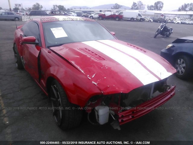 1ZVBP8CF1E5207538 - 2014 FORD MUSTANG GT RED photo 1