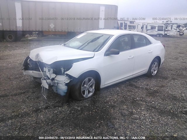 1G11B5SA0DF141602 - 2013 CHEVROLET MALIBU LS Ağ foto 2